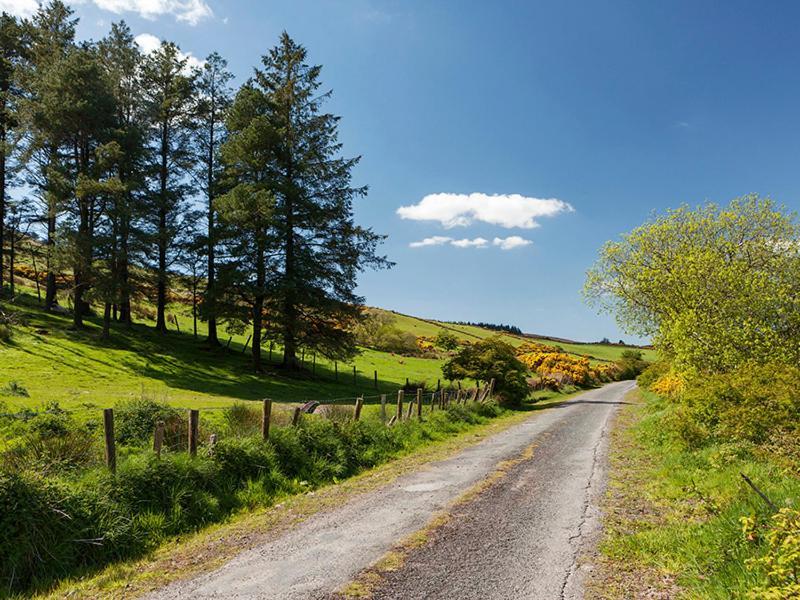 Willa Curradoon House Ballynamult Zewnętrze zdjęcie